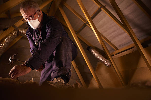 Best Insulation Installation Services in Bridgeport, OH